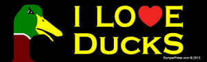 I I Love Ducks